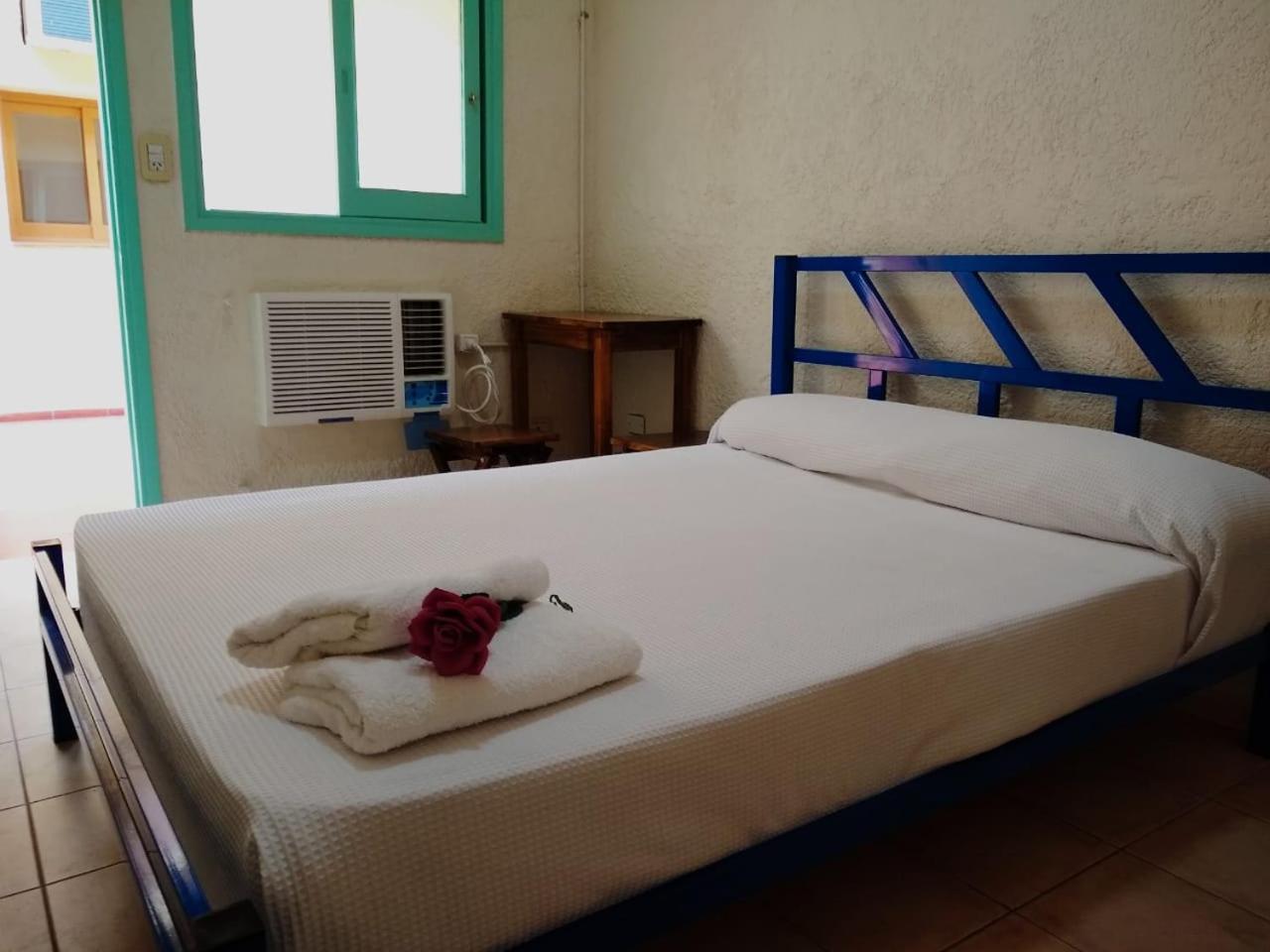 Hostal Black Sheep International