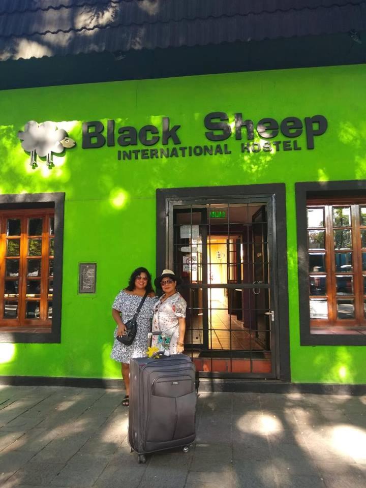 Hostal Black Sheep International